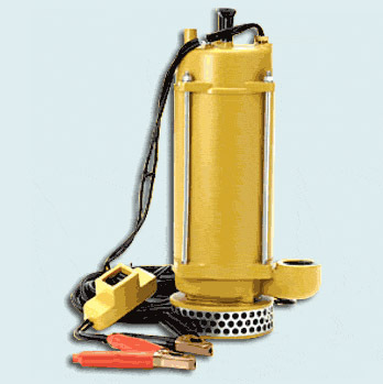 12 Volt Pumps